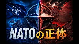 なぜウクライナはNATOに入りたがったのか?知られざる同盟の正体【ゆっくり解説】