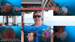 Stop making these backscatter mistakes! How I avoid backscatter.