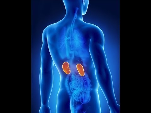 Betriebsverfahren von Prostata-Behandlung Video Stimulation der männlichen Prostata