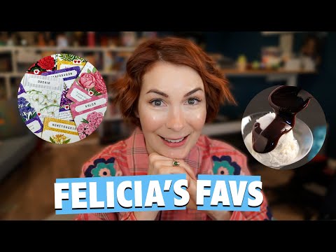 FELICIA'S FAVS | Chatting Books, Games & More!