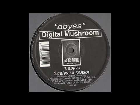 Digital Mushroom – Abyss - Acid Tribe Records – AT 003 (1996)
