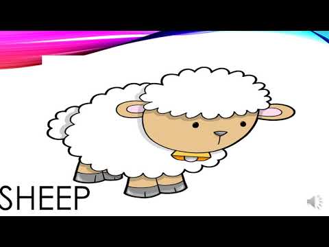 MY FAVORITE  ANIMAL 4°GRADE