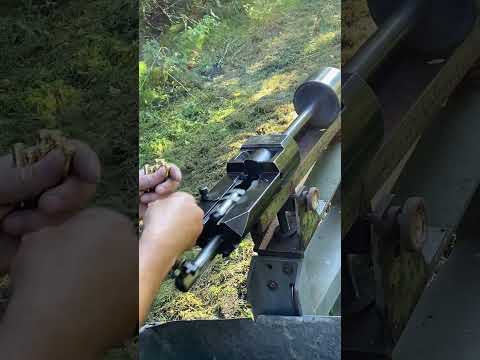 Testing the accuracy of 5.56 ammo I Sellier & Bellot