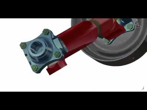 Video Section Image