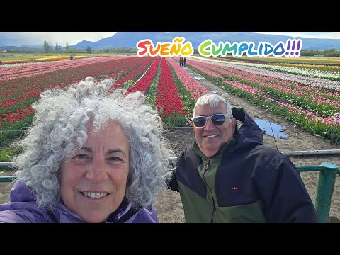 T.3 C.10 Campo de Tulipanes, Trevelin, Chubut, ARGENTINA