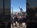 Don't be the guy doing nothing! Check out our Edu site at https://members310ranchlife.com #ranchlife