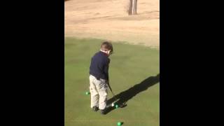 Nicholas Anderson Christmas Tree Putting