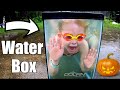 Water Box Swimming In A Fish Tank
