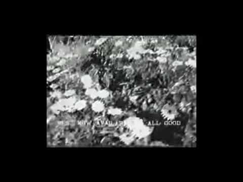 Marc Hunter - Get So Rough