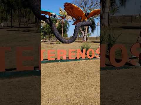 TERENOS.                                        😍MATO GROSSO DO SUL   cidade linda e tranquila 😀