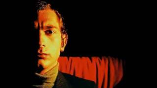THE MODEL Newly Found Voids [International Deejay Gigolo Records]