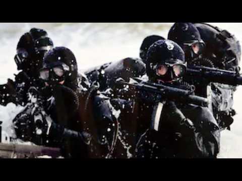 "We Swim Back" — The Insane British SBS Extraction That Left US Generals Speechless