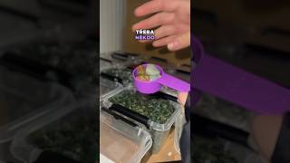 Crystal Confetti  NA PŘÁNÍ