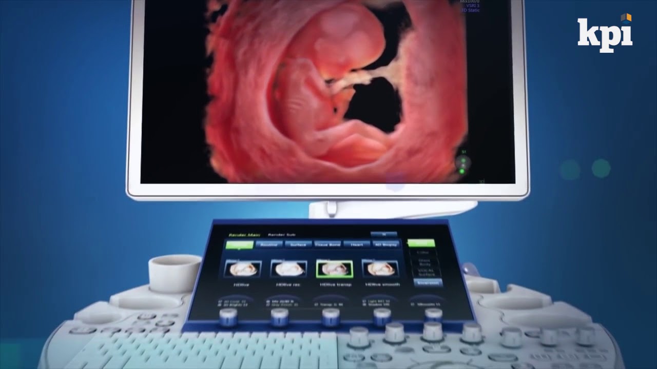 Guillermo Ripoll Humet-11