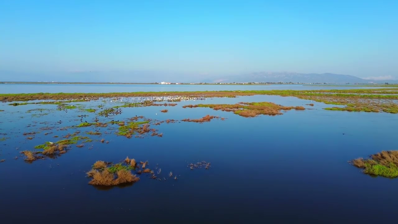 Vídeo Mitja Marató Delta de l'Ebre
