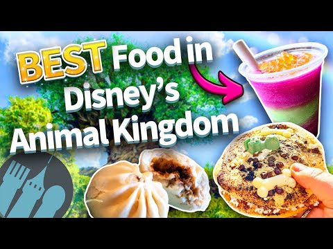 Ultimate Guide to the Best Food in Disney's Animal Kingdom