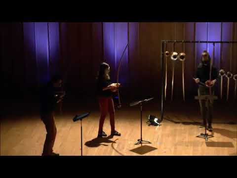 "Berimbau Music (Homage to Steve Reich)" by Juan Diego Diaz. Performed by Arcomusical (2021)