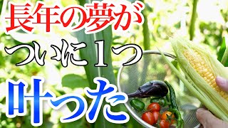 【飯テロ】遂に1つ夢が叶いました