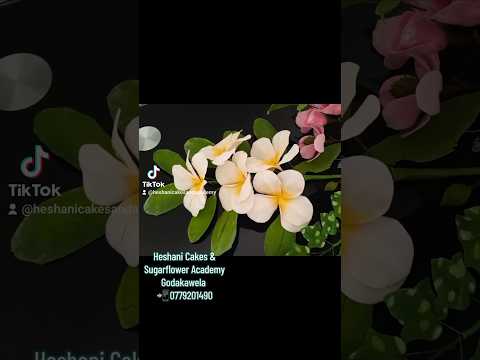 #foodvideos #howtomakechocolateathome #birthday #love #viralvideos #food #cake #food