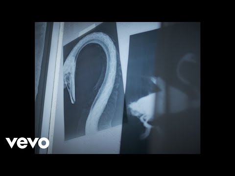 Ernia - Cigni (Visual)