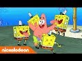 SpongeBob SquarePants | Sponskopieën | Nickelodeon Nederlands