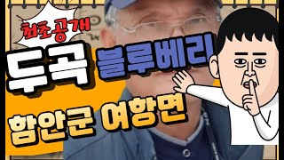 블루베리견학, 벽화마을, 귀농귀촌 대환영  '두곡마을'소개