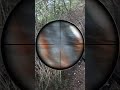 Week 42 Woodsball Shorts Paintball Recball Woodsball