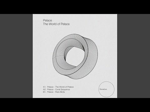 The World of Pelace (Original Mix)