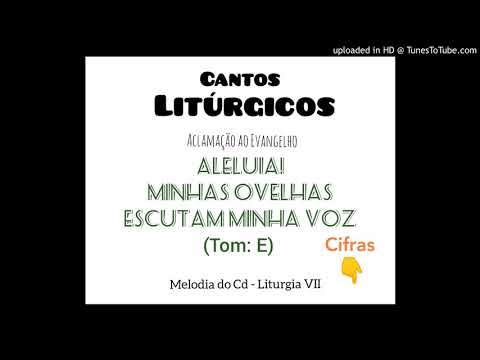 ALELUIA - MINHAS OVELHAS ESCUTAM (Melodia 2 - Cantos Litúrgicos) - Cantos Litúrgicos