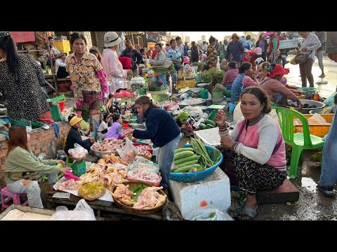 Cambodian Early Morning Fish Market Tours - Plenty Alive River Fish, Dry Fish, Seafood  & More