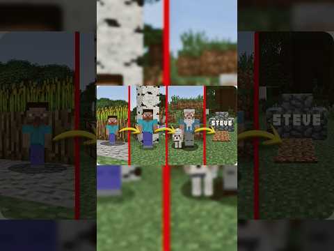 ETAPAS DE STEVE  EN (MINECRAFT)  #evolution #shorts