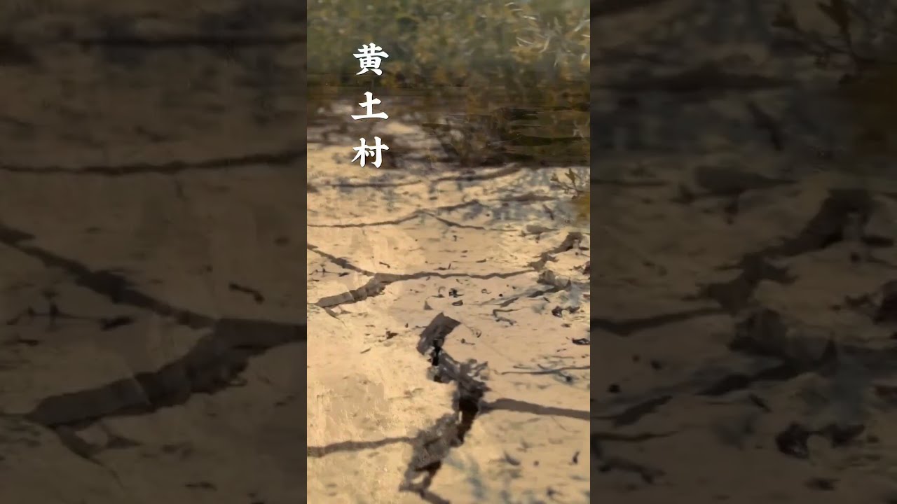بسبب أن الأرملة الطيبة أعطت الفتاة كوبًا من الماء، لم تكن تعلم أن هذا الفعل سيغير حياتها إلى الأبد.