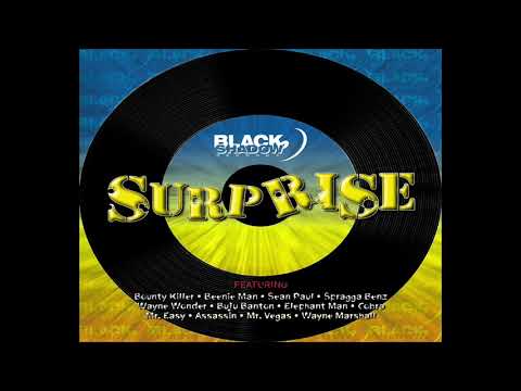 Surprise - Megamix