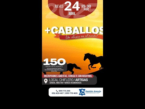 24/4/2025 Local Chiflero - Artigas - Gastón Araujo Agronegocios