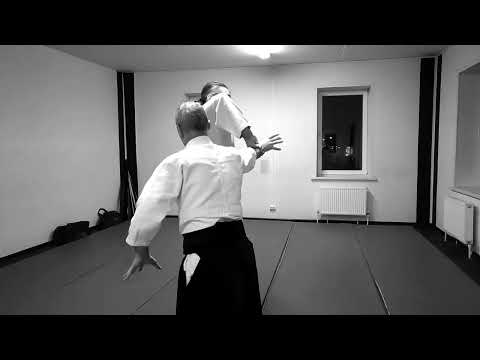 Aikido techniques:  uchikaiten iriminage, kaitennage