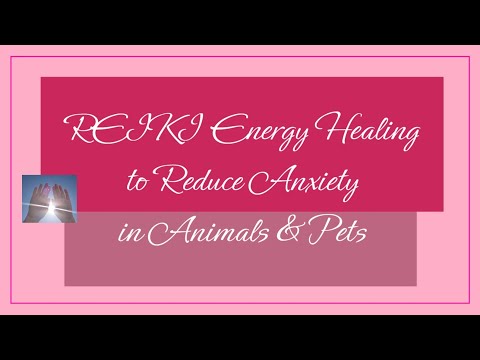 Reiki to Reduce Anxiety in Animals & Pets | Timeless Energy Healing