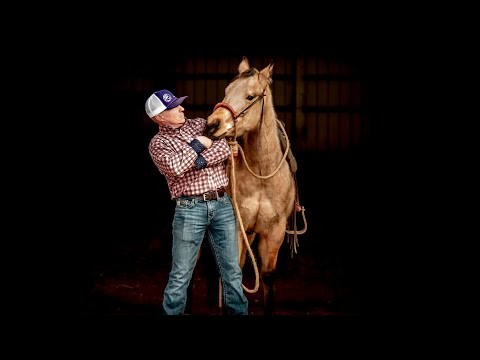 Do this before the farrier arrives - My favorite exercises to help a horse stand