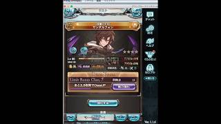 【グラブル】無課金プレイヤーのキャラリスト公開　意外と強い！？
