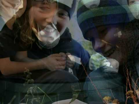 Miljöhjältarna Sörmjöle