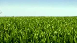 Monkey Trick - Lights and Tunnels