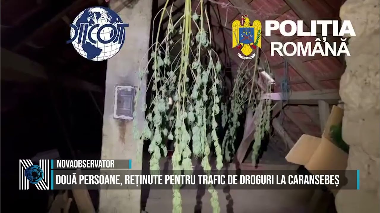 Două persoane, reținute pentru trafic de droguri la Caransebeș
