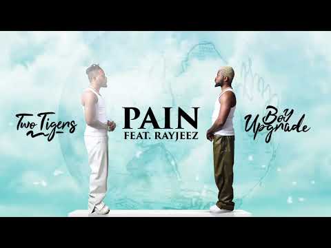 Two Tigers - Pain ft Rayjeez ( Officials Visualiser￼)