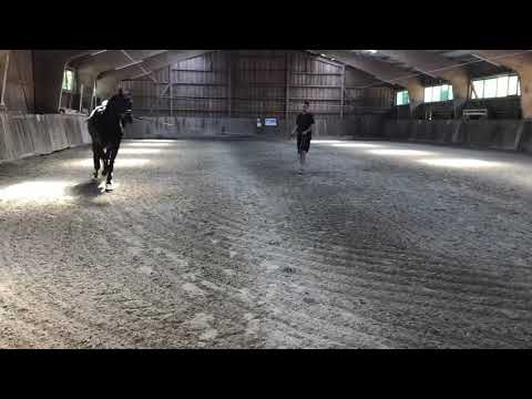 Faunus 07.2020 vor Abholung bei Nicole Hofmann Video 2 -  IMG 1297