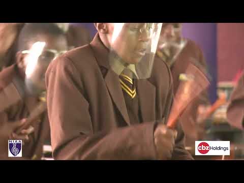 Wise Owl Schools Primary Band 1   "GUYU RANGU" by N. Zengeni WINNER OF THE NIC MANOMANO TROPHY