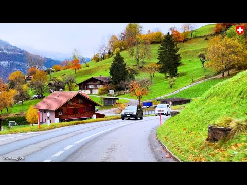 The Most Beautiful Autumn Colors of Switzerland 🇨🇭 Driving in Thun Region | #swiss