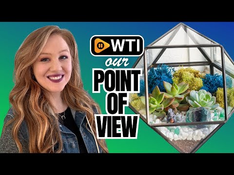 7” DIY Terrarium Kit – Succulent Terrarium Kit for Adults & Kids - WTI product video review