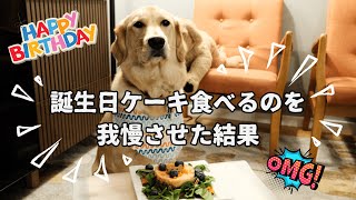 ゴルパピの1才の誕生日にご馳走を作ったらすごいことになった｜サーロインと芋のミルフィーユケーキ