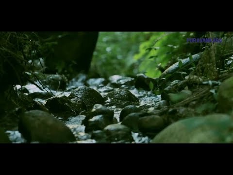 Walkthrough Walkthrough