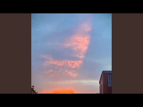 Touch The Streets (TTS)