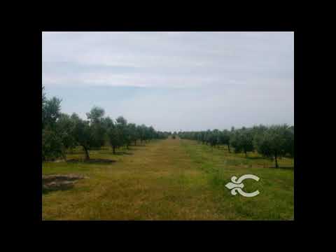 Video de YouTube - Campo en Canelones ref. 8586